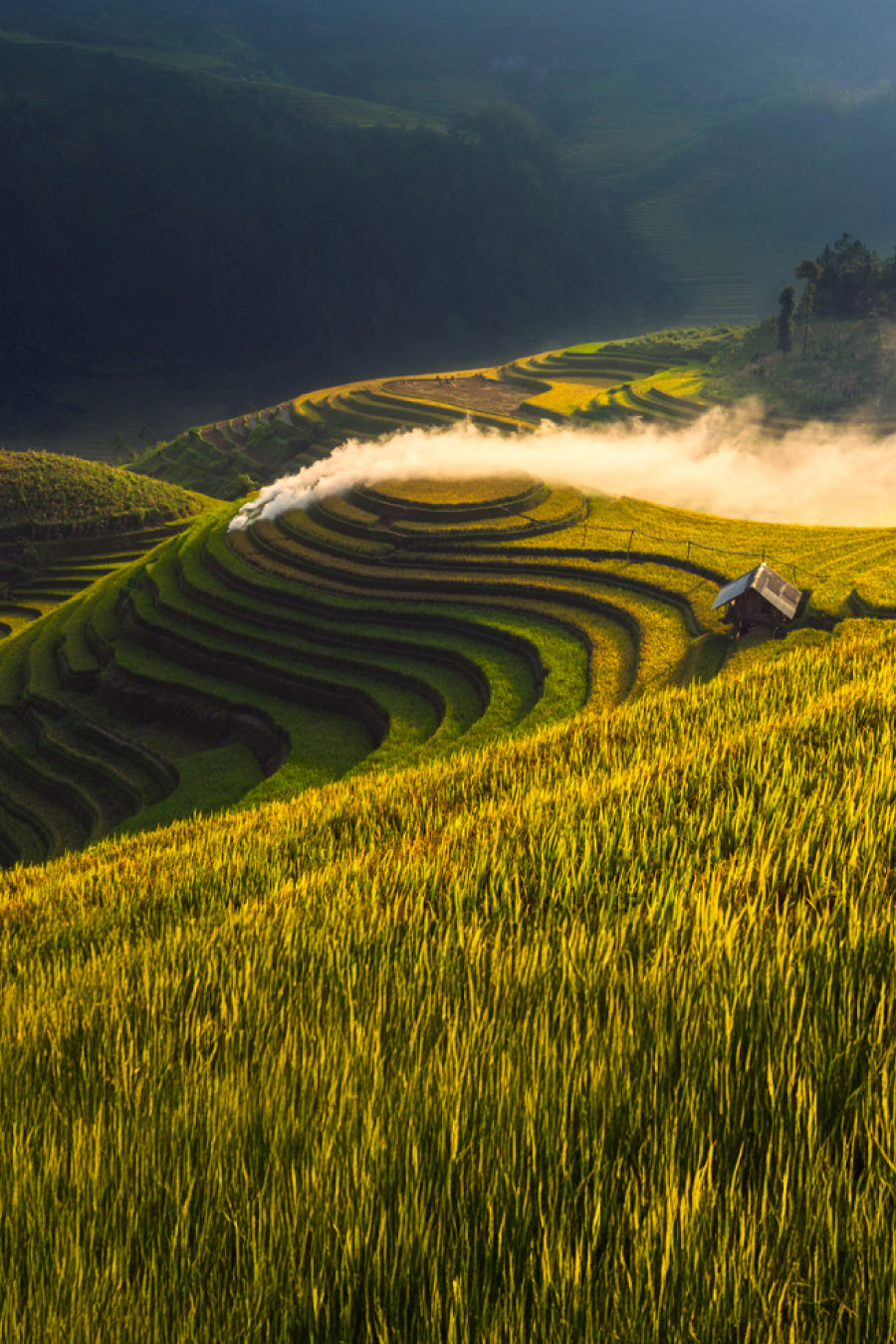 Vietnam